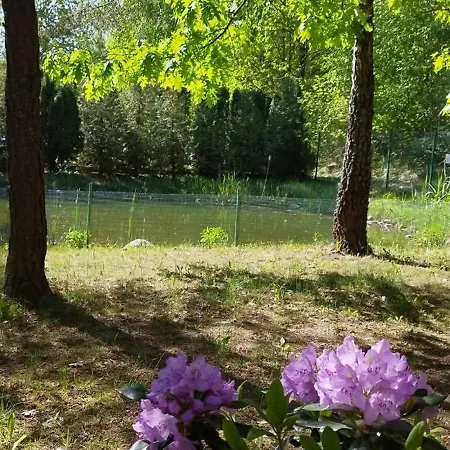 Gosciniec Wierzbinowy 2 Osobowy