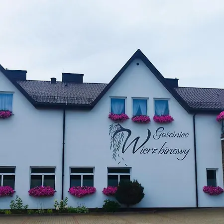 Gosciniec Wierzbinowy 2 Osobowy 오지시