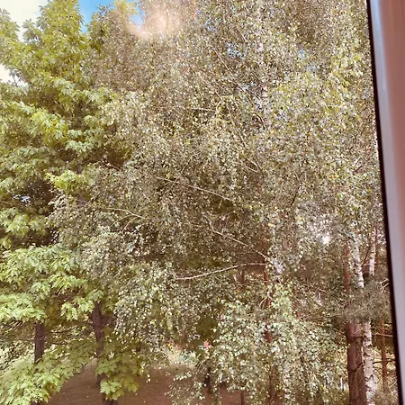 Gosciniec Wierzbinowy 2 Osobowy * 오지시